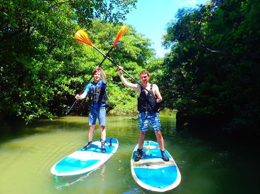 Ishigaki Island: SUP or Canoeing and Snorkeling at Blue Cave - A 6-Hour Mix of Miyara Mangroves and Blue Cave Snorkeling