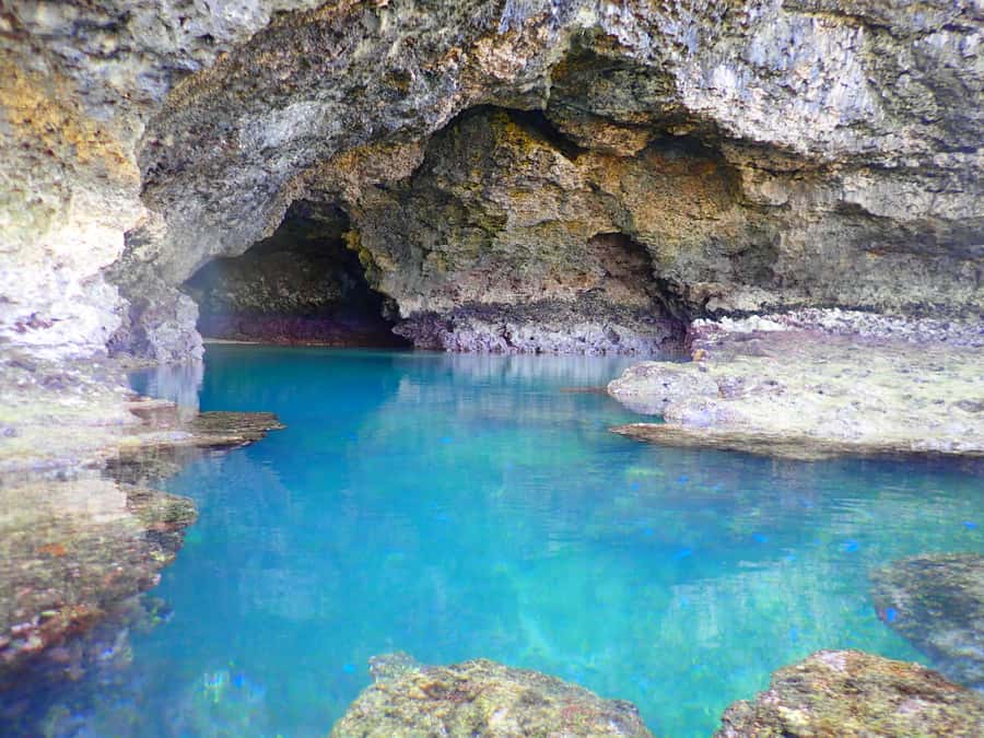 Ishigaki Island: SUP or Canoeing and Snorkeling at Blue Cave - The Value Case for $109: What You’re Actually Paying For