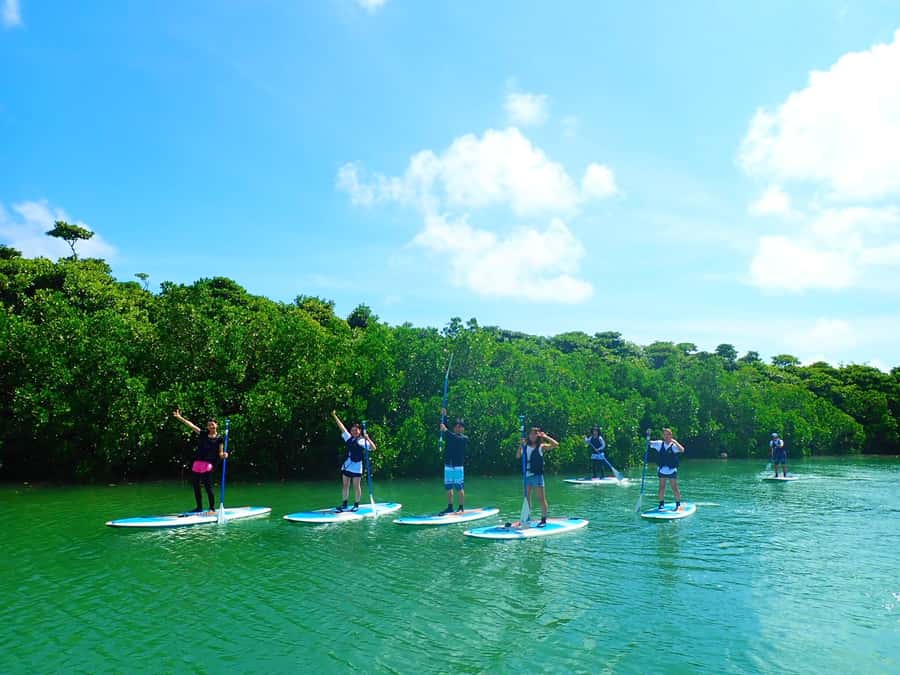 Ishigaki Island: SUP or Canoeing and Snorkeling at Blue Cave - Guides Make the Day: Real Names, Real Impact