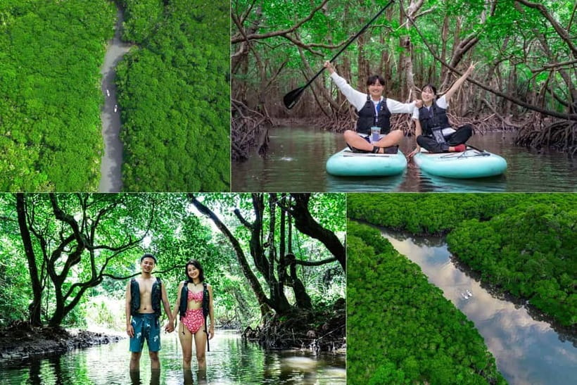 Ishigaki:Mangrove&Sea SUP/Kayak Tour with SLR&Drone footage - Two hours in Ishigaki mangroves: SUP or kayak with a built-in photo plan
