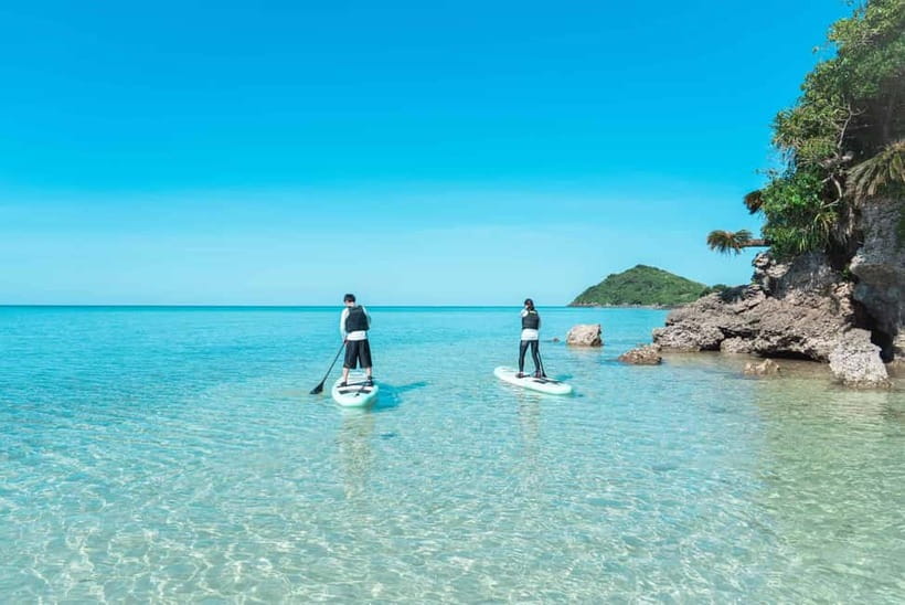 Ishigaki:Mangrove&Sea SUP/Kayak Tour with SLR&Drone footage - Photos and videos in 3 days via LINE: what you actually get