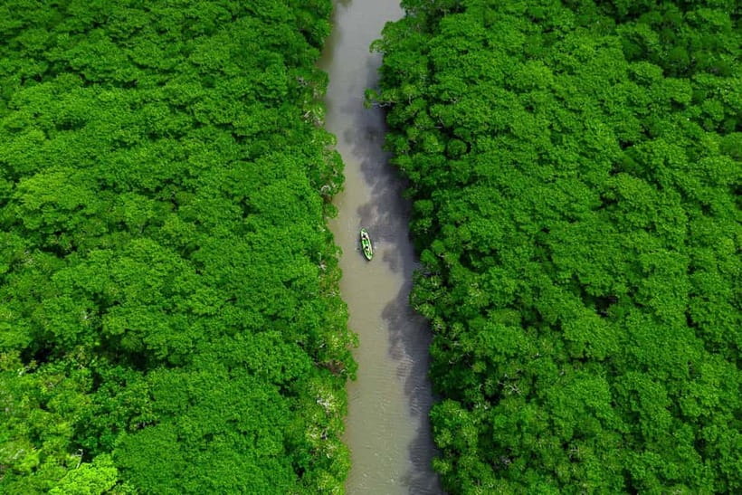 Ishigaki:Mangrove&Sea SUP/Kayak Tour with SLR&Drone footage - Price and value: why $48 can work if photography matters to you