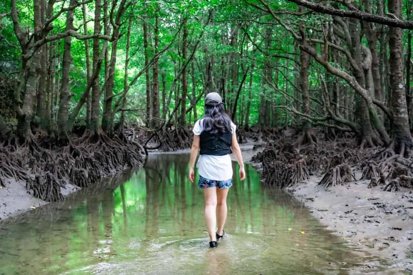 Ishigaki:Mangrove&Sea SUP/Kayak Tour with SLR&Drone footage - Who should book this tour in Ishigaki