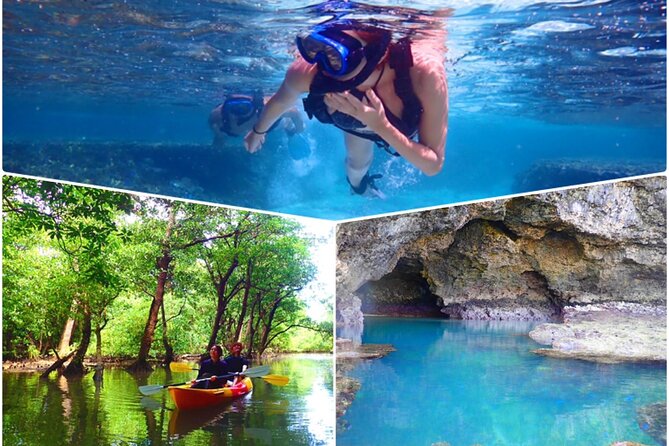 [Ishigaki]Mangrove SUP/Canoe + Blue Cave Snorkeling - Key highlights you should know