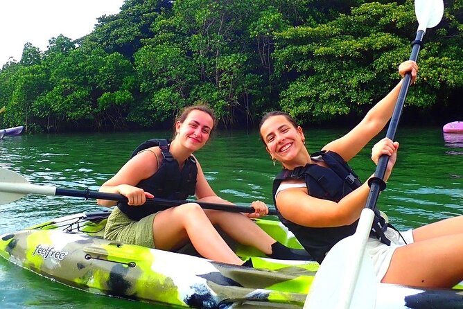 [Ishigaki]Mangrove SUP/Canoe + Blue Cave Snorkeling - Price and value: is $89.19 actually worth it?