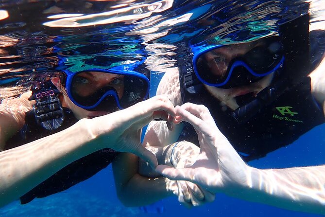 [Ishigaki]Mangrove SUP/Canoe + Blue Cave Snorkeling - Blue Cave snorkeling: the fish part (and how the day can change)