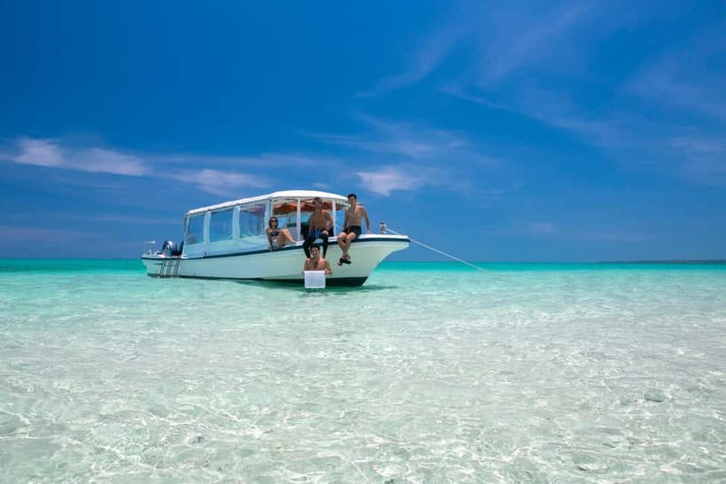 Ishigaki: Mangrove SUP or Canoe & Phantom Island Snorkeling - Key things I’d prioritize before you book