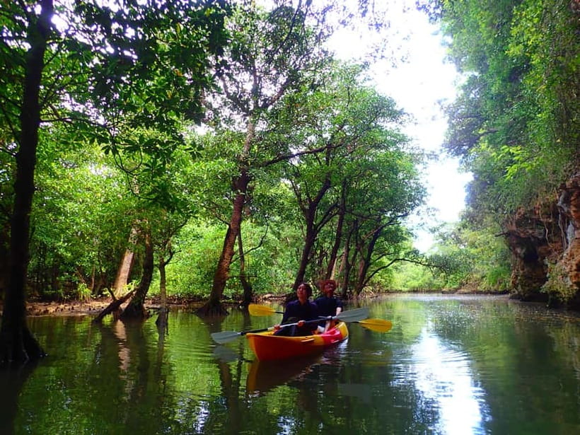 Ishigaki: Mangrove SUP or Canoe & Phantom Island Snorkeling - Miyara River hirugi forest by canoe or SUP