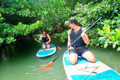 Ishigaki Mangrove SUP or Canoeing and Phantom Island Snorkeling - Phantom Island (Hama-jima): why the tide makes it feel like a natural aquarium