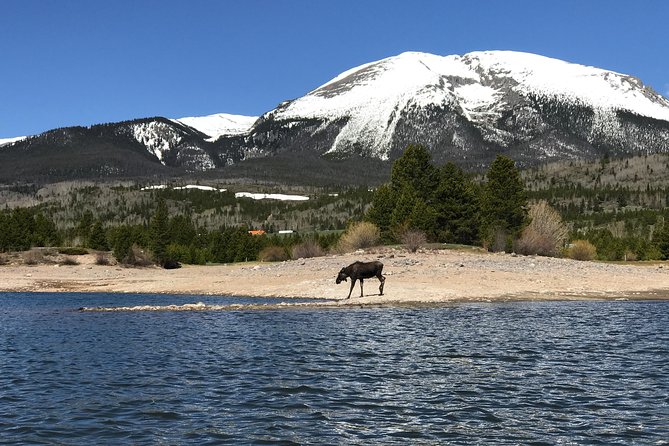 Island Kayak Tour Experience in Frisco - Stop-by-stop: what each part of the day is really for