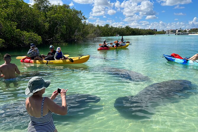 Island Tour by Pedal HOBIE / Kayak / SUP - Fort Myers Beach - Choosing your craft: standard or CLEAR kayak, kayak, or paddleboard