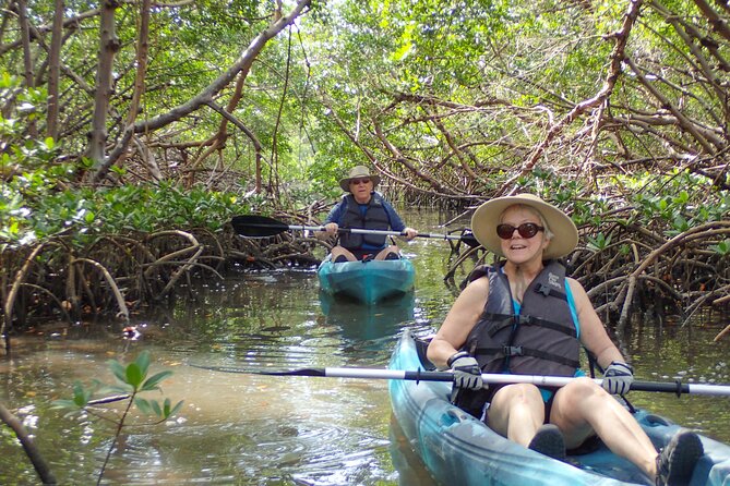 Island Tour by Pedal HOBIE / Kayak / SUP - Fort Myers Beach - Wildlife spotting the practical way (dolphins, birds, manatees)