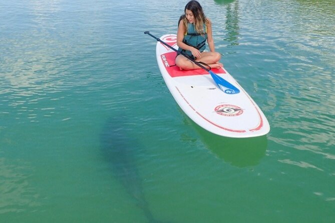 Island Tour by Pedal HOBIE / Kayak / SUP - Fort Myers Beach - Who this paddle tour fits best (and who should reconsider)