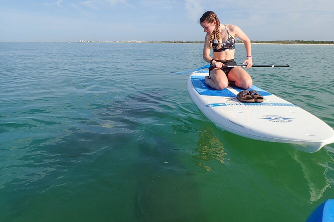 Island Tour by Pedal HOBIE / Kayak / SUP - Fort Myers Beach - The 2.5-hour loop: what you’ll do during the Big Hickory Island paddle