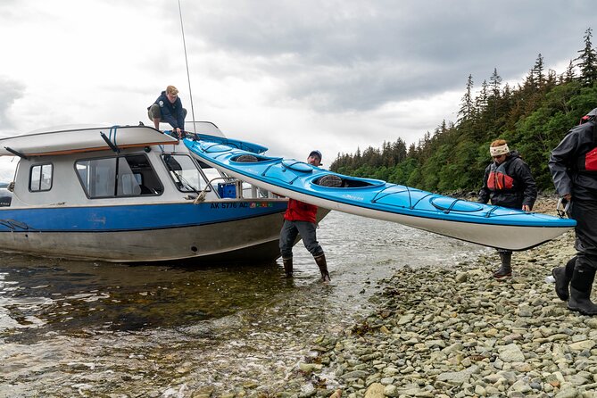 Juneau Shore Excursion: Paddle with Whales Kayak Adventure - Why Paddling With Humpbacks Feels Different Than Watching From a Boat