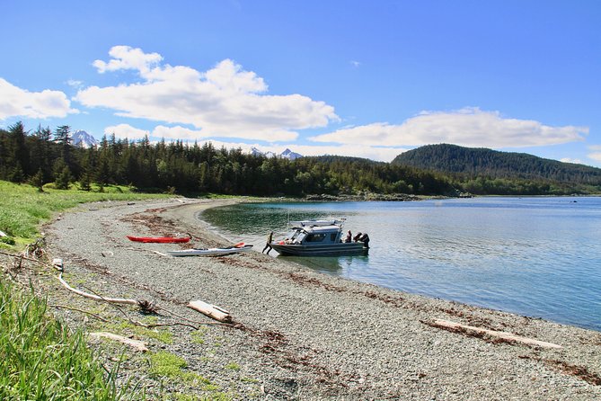 Juneau Shore Excursion: Paddle with Whales Kayak Adventure - Kayak Sizing and Who Might Have a Tougher Time
