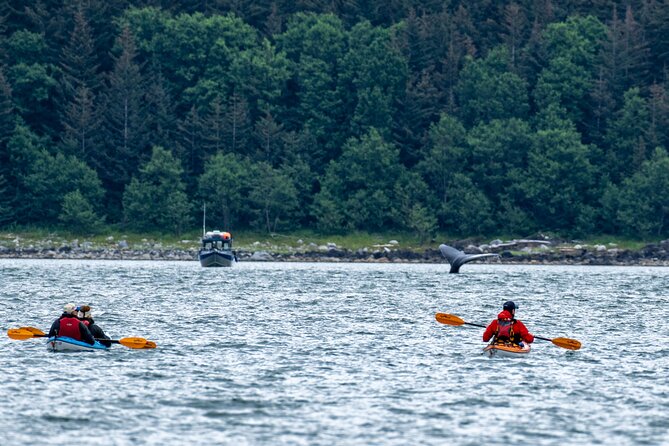 Juneau Shore Excursion: Paddle with Whales Kayak Adventure - How the Day Flows: From The C Sign to Auke Bay Harbor