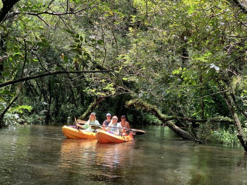 Jupiter: Wild and Scenic Loxahatchee River Kayak Tour - Key things that make this Jupiter kayak tour worth your time