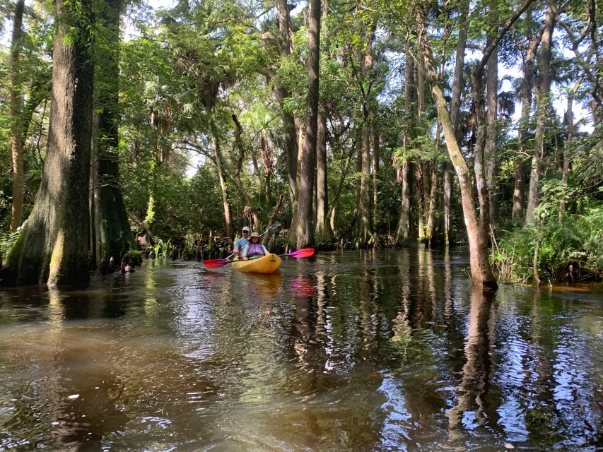 Jupiter: Wild and Scenic Loxahatchee River Kayak Tour - The 2-hour paddle: what the route feels like mile after mile