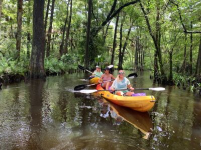 Jupiter: Wild and Scenic Loxahatchee River Kayak Tour - Riverbend Park check-in: get geared up without stress