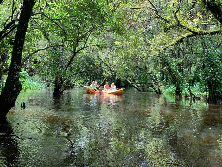 Jupiter: Wild and Scenic Loxahatchee River Kayak Tour - The history angle: Seminole connections without turning it into a lecture