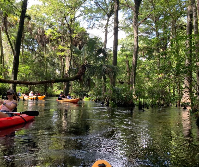 Jupiter: Wild and Scenic Loxahatchee River Kayak Tour - Best day to go, and who this tour really suits