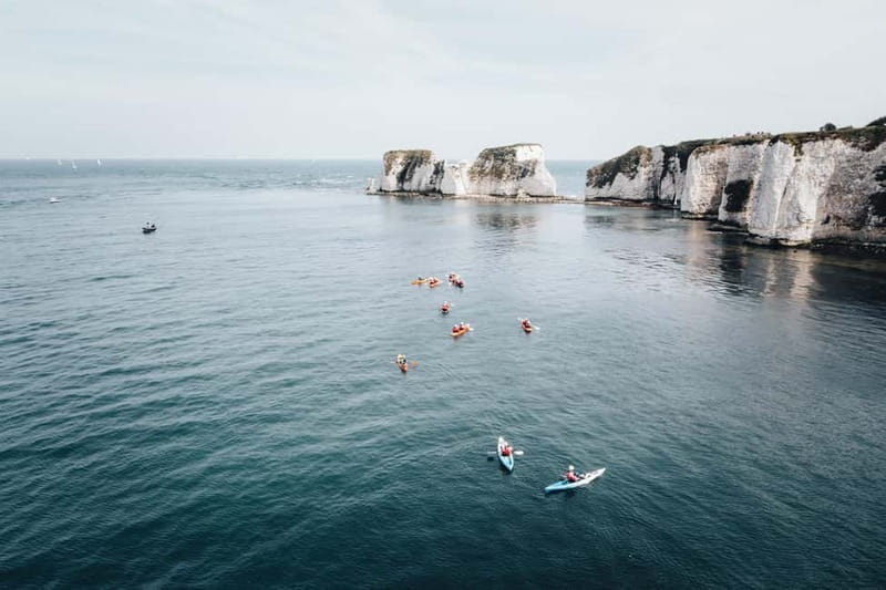 Jurassic Coast Kayaking Tour to Old Harry Rocks - Key highlights worth caring about