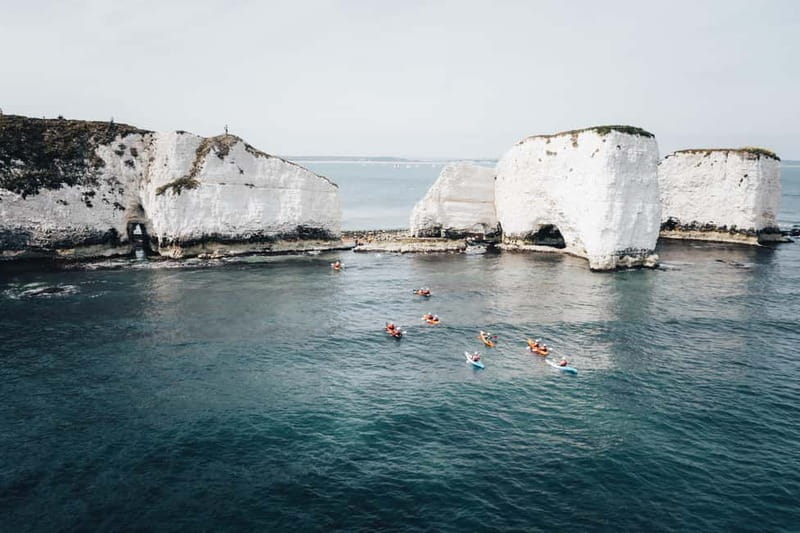 Jurassic Coast Kayaking Tour to Old Harry Rocks - The marine conservation zone ride: wildlife spotting that feels earned