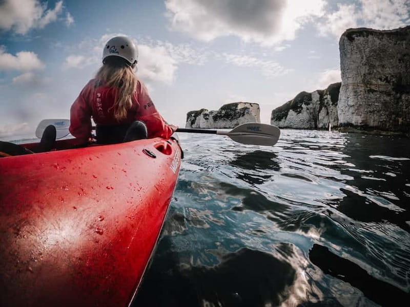 Jurassic Coast Kayaking Tour to Old Harry Rocks - Seaweeds and coastal plants: the lesson that turns views into facts