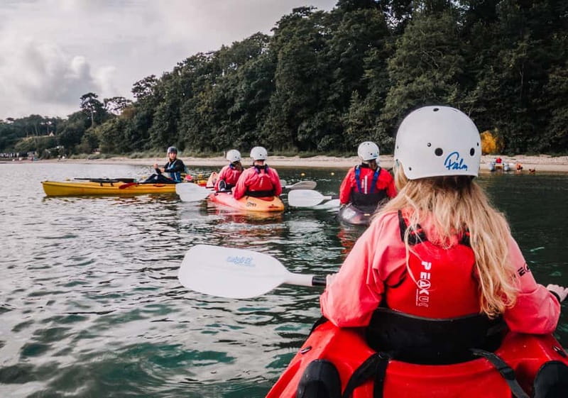 Jurassic Coast Kayaking Tour to Old Harry Rocks - Price and value: is $80 fair for what you get?