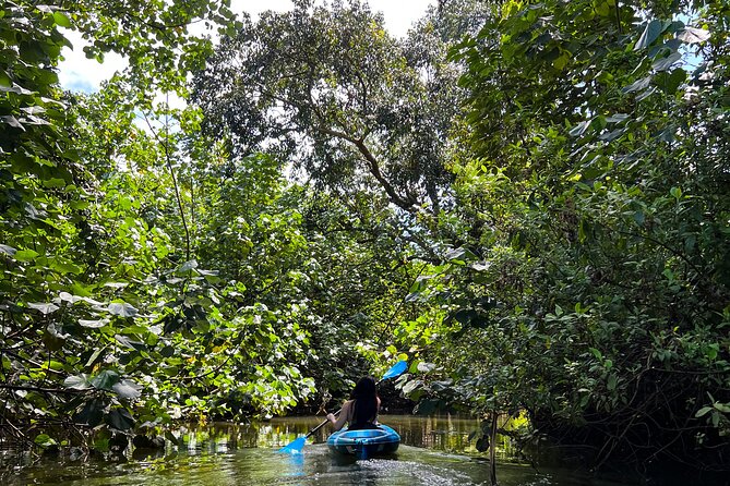 Kahana Bay River to Ocean: Kayak and Stand Up Paddle Board Rental - Key highlights worth planning for