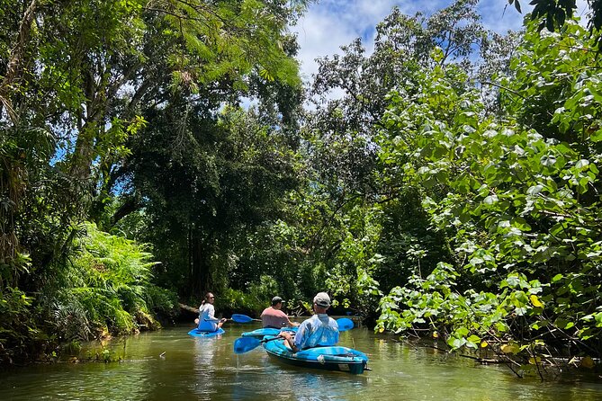 Kahana Bay River to Ocean: Kayak and Stand Up Paddle Board Rental - Who should book this rental (and who might want a different plan)