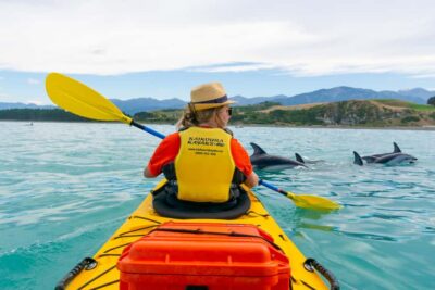 Kaikoura: Half-Day Wildlife Kayaking Tour - Fur seals right by your kayak: what guaranteed viewing really means