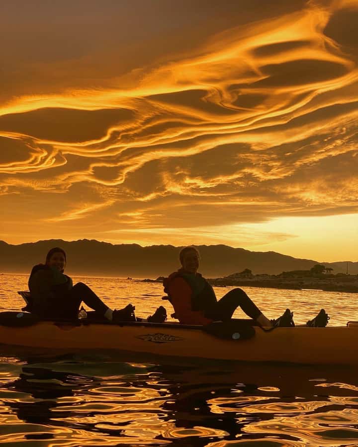 Kaikōura: Kayak Sunset Tour with Seal Sightings - The van ride, then a real safety briefing (not a rushed lecture)