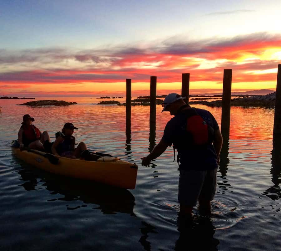 Kaikōura: Kayak Sunset Tour with Seal Sightings - Wildlife spotting: seals, penguins, and seabirds without rushing them
