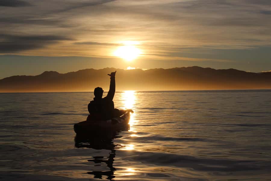Kaikōura: Kayak Sunset Tour with Seal Sightings - The human story: indigenous history plus sealing-era context