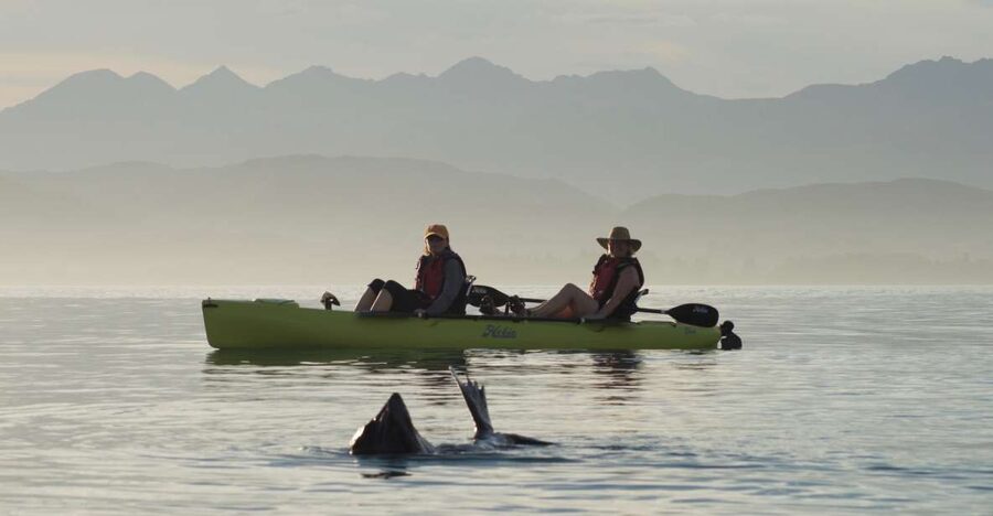 Kaikoura: Seal-Watching Pedal Kayak Tour - Who This Trip Is Best For (and Who Should Skip It)
