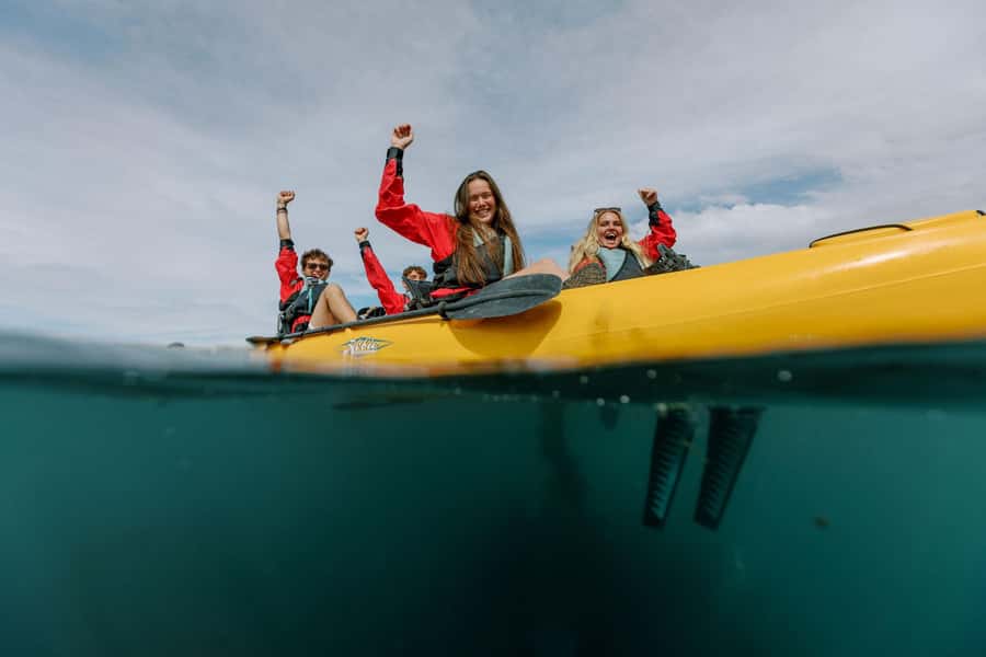 Kaikoura: Seal-Watching Pedal Kayak Tour - Meeting at 18 Beach Road: Easy Start, No Guesswork