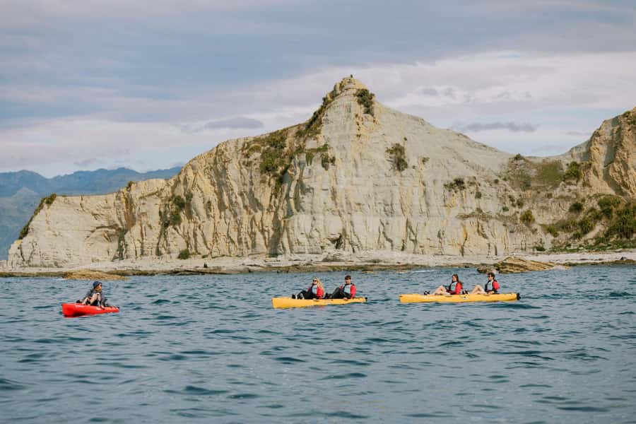 Kaikoura: Seal-Watching Pedal Kayak Tour - The Safety Briefing and Short Drive That Sets Expectations