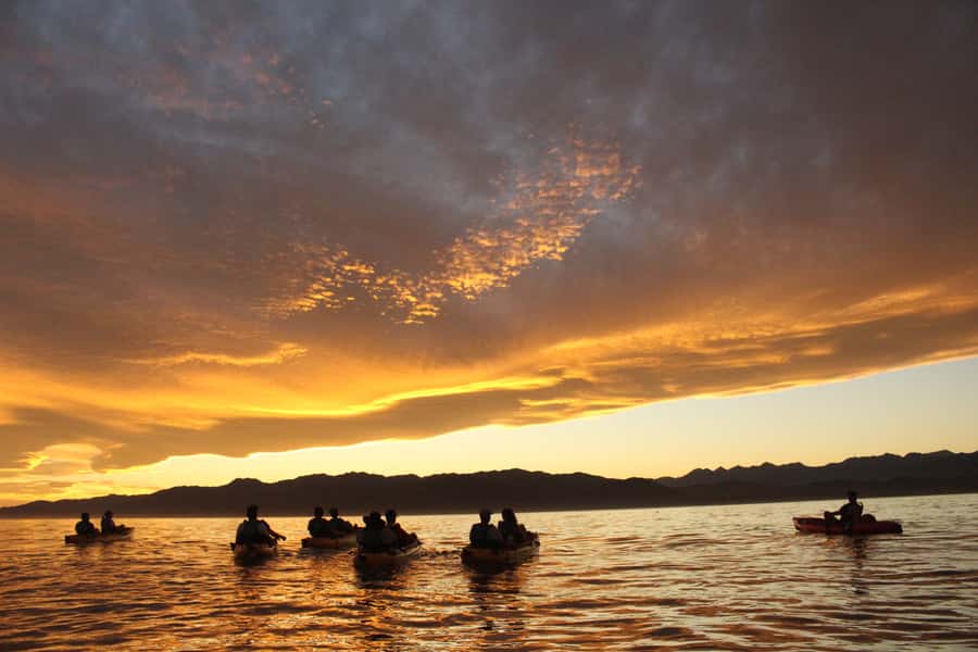 Kaikoura: Seal-Watching Pedal Kayak Tour - Two Hours Around the Kaikoura Peninsula: The Wildlife Route