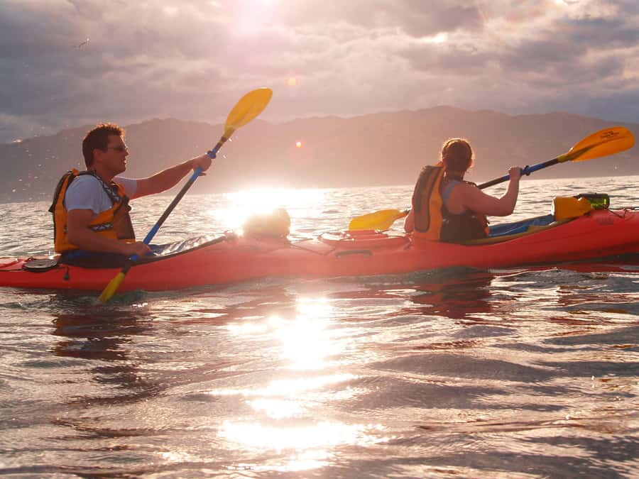 Kaikoura: Sunset Evening Kayaking Tour - Sunset Kayaking in Kaikōura: Why Evening Changes Everything