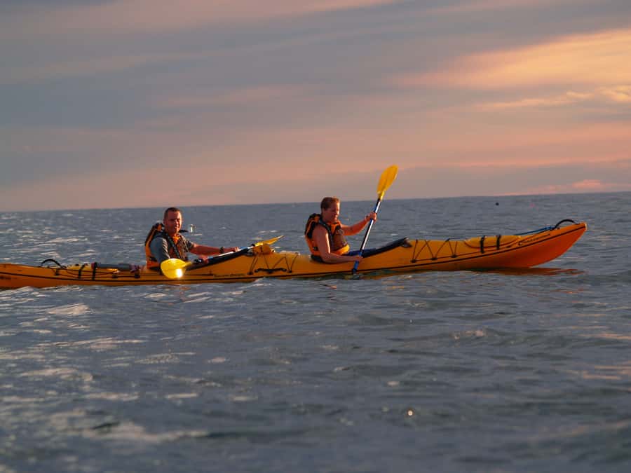 Kaikoura: Sunset Evening Kayaking Tour - Fur Seals You Can Count On: What 100% Means on the Water
