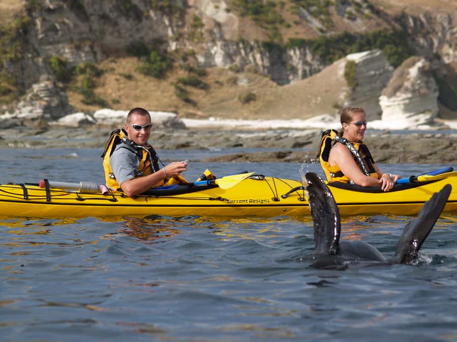 Kaikoura: Sunset Evening Kayaking Tour - The Route Has a Story: Māori and Whaler Footprints Along the Peninsula