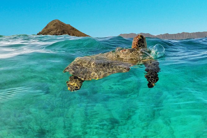 Kailua 2-Hour Guided Kayaking Excursion, Oahu - Kailua Bay in 2 hours: what the paddle is really like