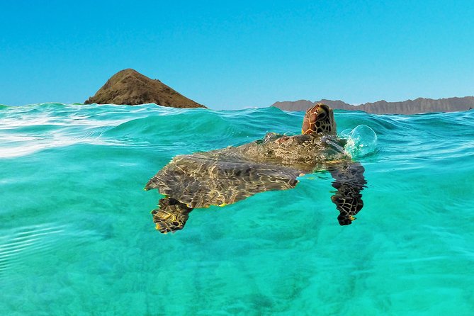 Kailua Bay, Oahu: Epic Kayak and Snorkel to Islands - What you should pack (and what you can skip)
