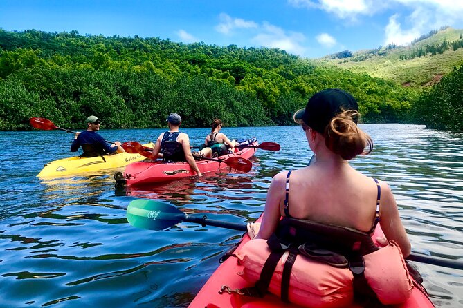 Kauai Adventure: Kayak & Hike to Secret Falls with Expert Guide - Kayaking the Wailua River Valley: a real paddle lesson, not a drive-by