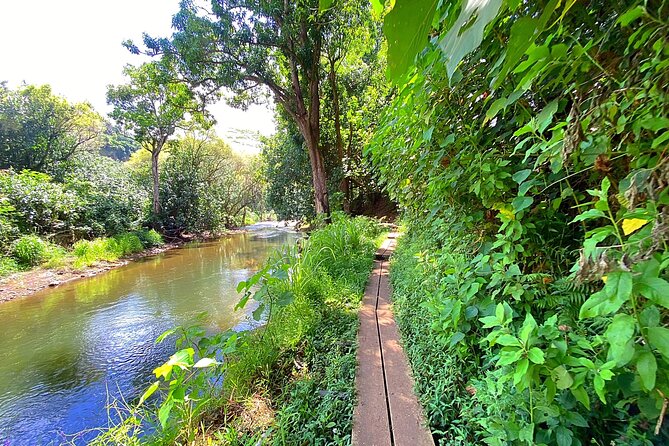 Kauai Adventure: Kayak & Hike to Secret Falls with Expert Guide - Wildlife, Hawaiian stories, and why the guide changes the whole trip