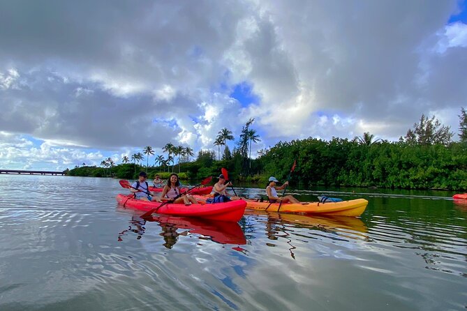 Kauai Adventure: Kayak & Hike to Secret Falls with Expert Guide - What to bring: shoes, towel time, and the dry-bag reality