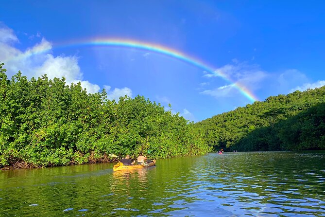 Kauai Adventure: Kayak & Hike to Secret Falls with Expert Guide - Price and value: is $140 worth it on Kauai?