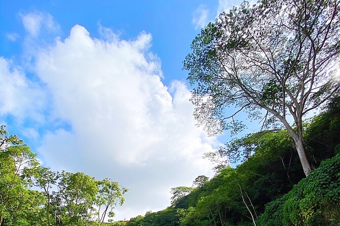 Kauai Adventure: Kayak & Hike to Secret Falls with Expert Guide - Weather, winds, and plan changes you should expect